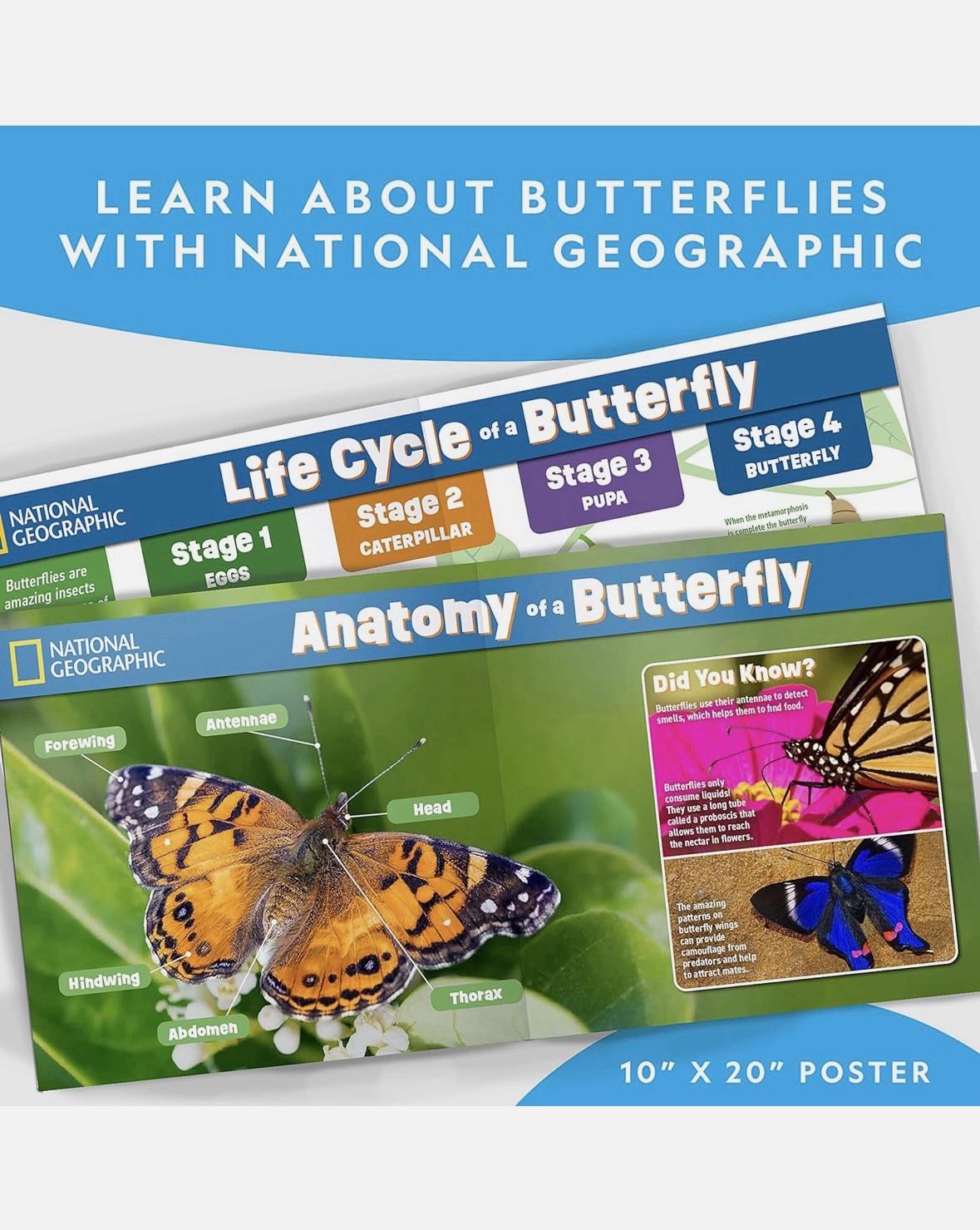 NATIONAL GEOGRAPHIC Butterfly Growing Kit Voucher for 5 Live Caterpillars STEM