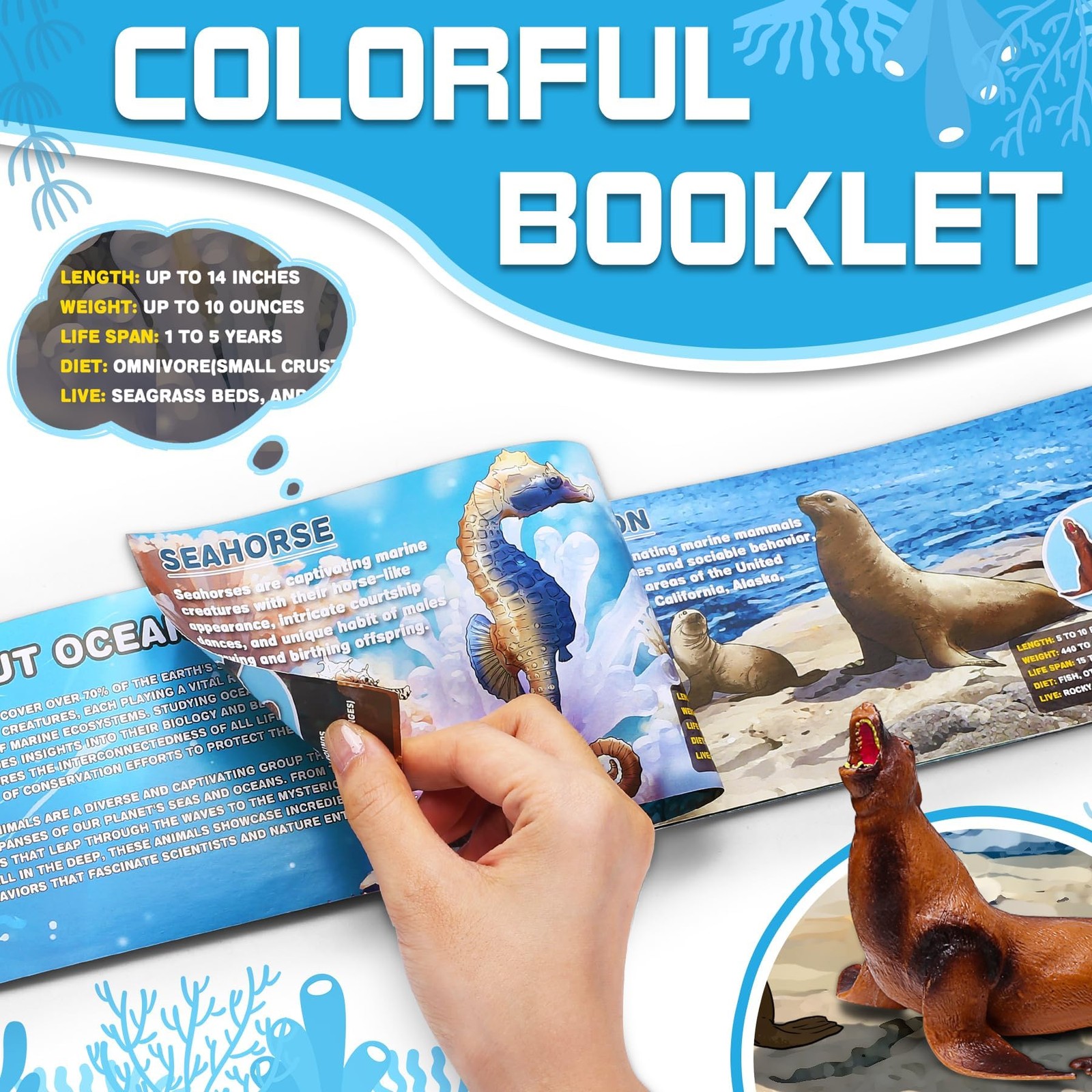 12 Pack Ocean Animal Toys with Educational Booklet for Kids, Realistic Soft P…