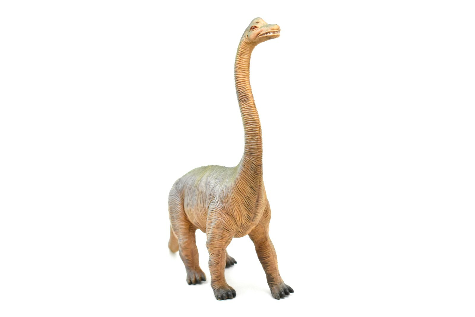 Brachiosaurus Toy, Dinosaur Model, Realistic Plastic Replica, 14″ CWG161 BB37