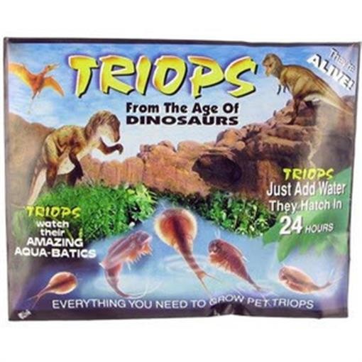 Amazing Triops 🦖🦖🦖 From the Age Of the Dinosaurs, 80 Triop Eggs