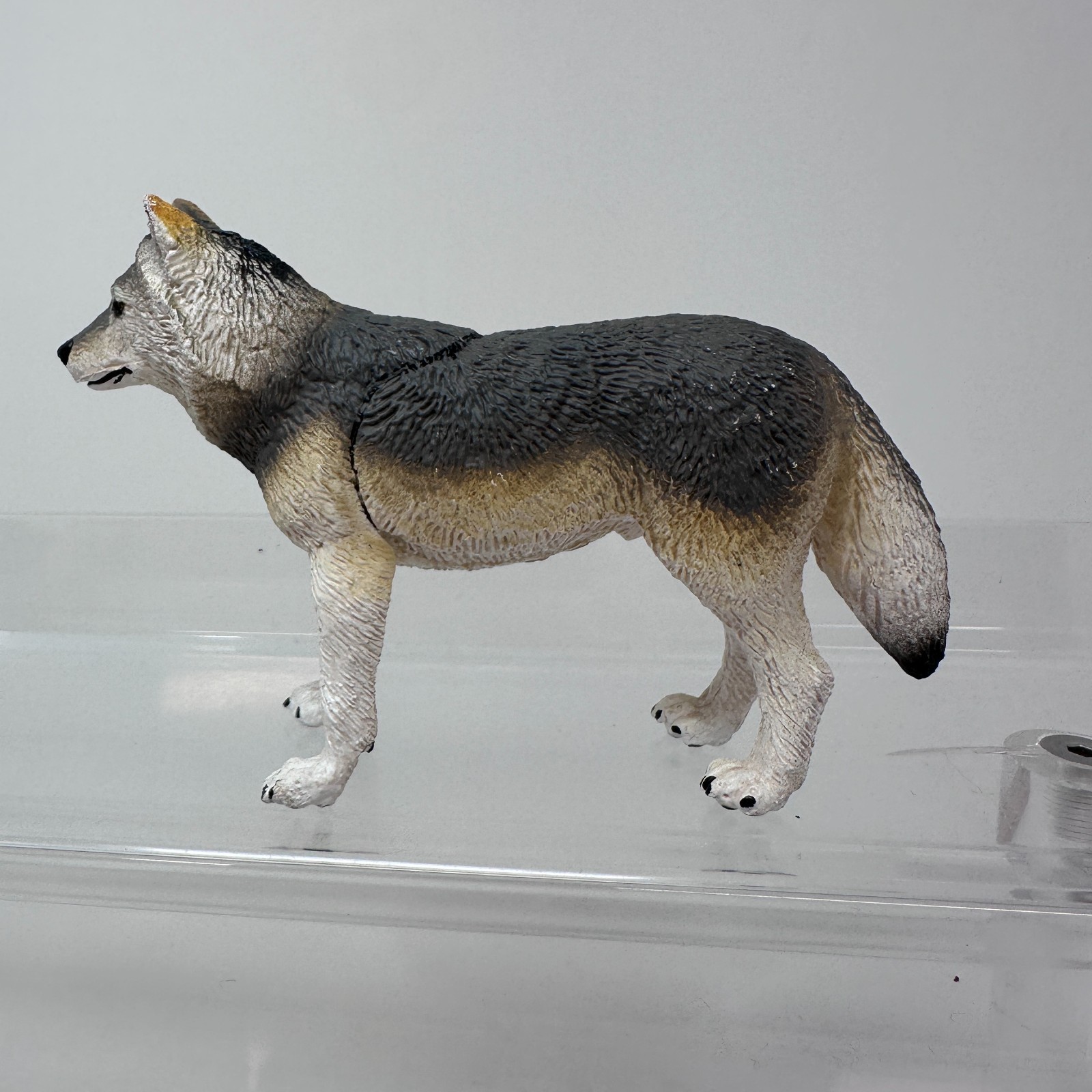 Safari Ltd Gray Wolf Figure Wild Dog Wildlife Zoo Jungle Animal Figurine 4″ 2020
