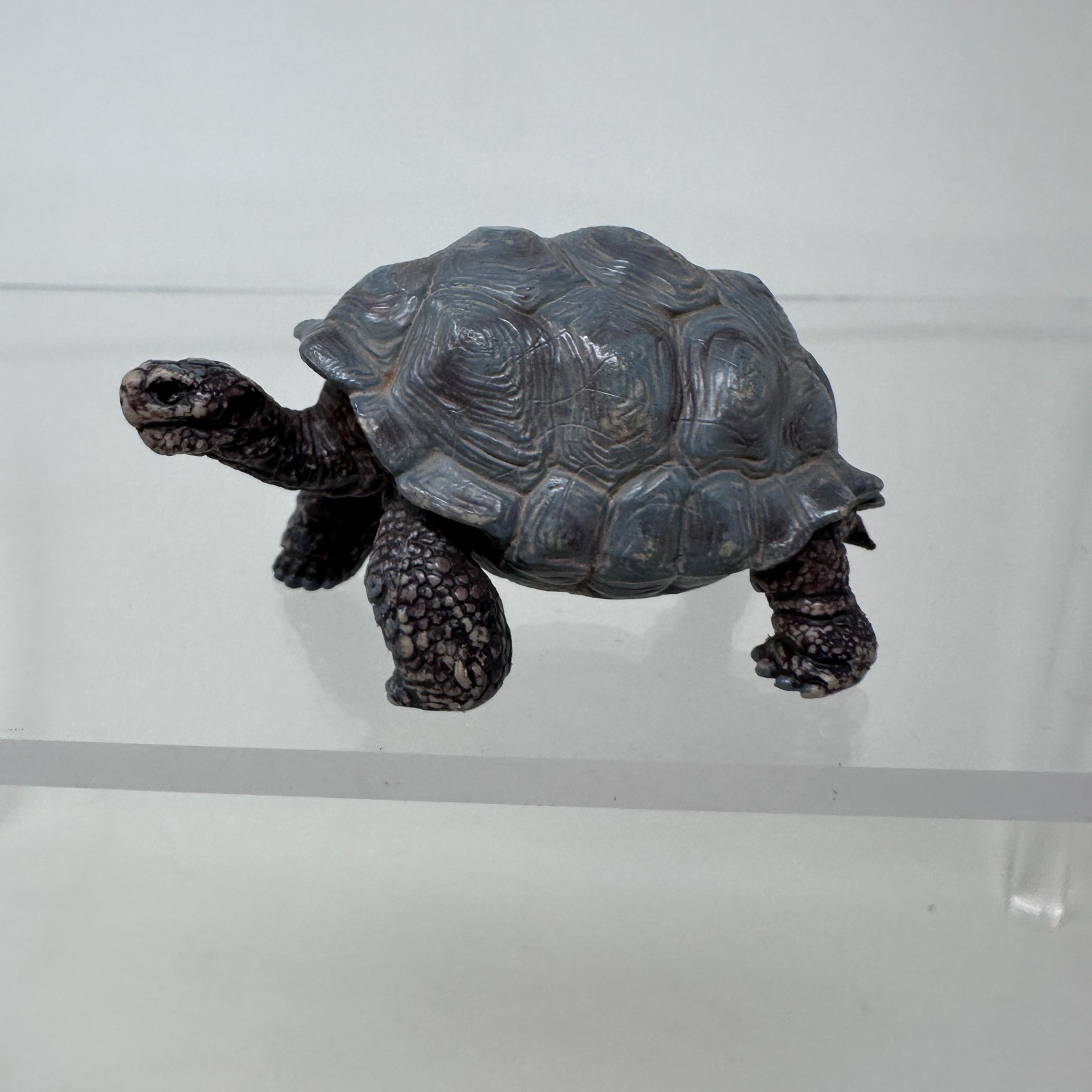 Schleich Tortoise Figure Gray Land Turtle Wildlife Zoo Safari Animal Figurine 3″