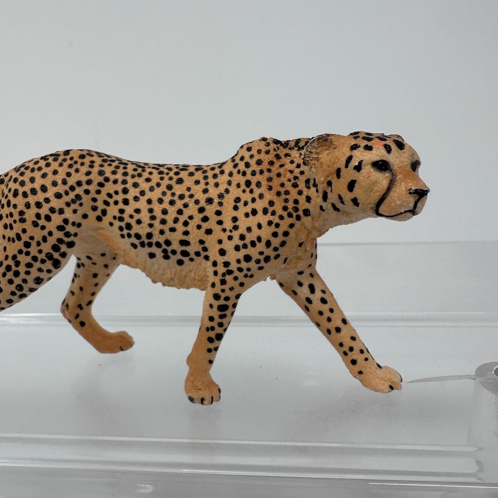 Schleich Cheetah Figure Spotted Large Cat Female Wildlife Zoo Animal Figurine