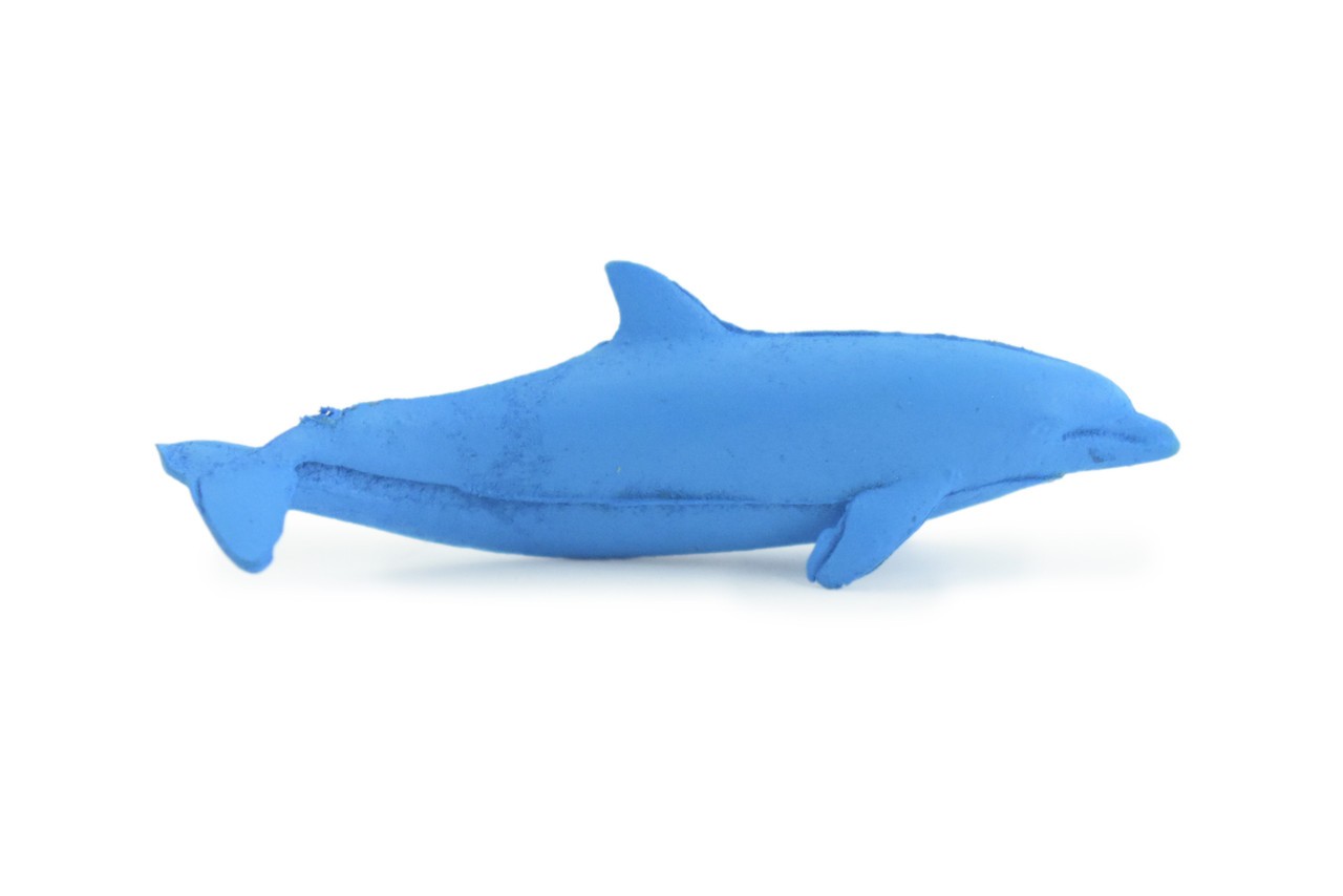 Toy Blue Dolphin Cichlid, Realistic, Replica, Kids, Gift, 2 Inches CWG52 B197