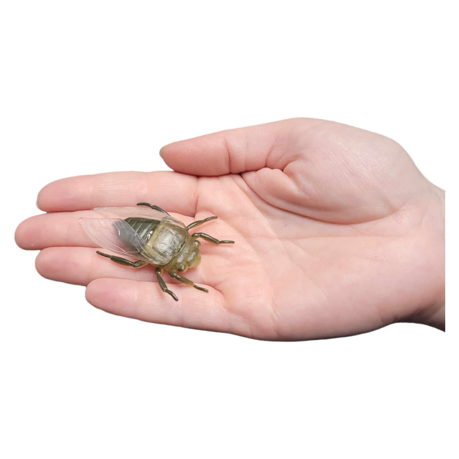 Large 2″-3″ Insect Set (12 Pack) Plastic. 12 Realistic Looking Mini. Lady Bug