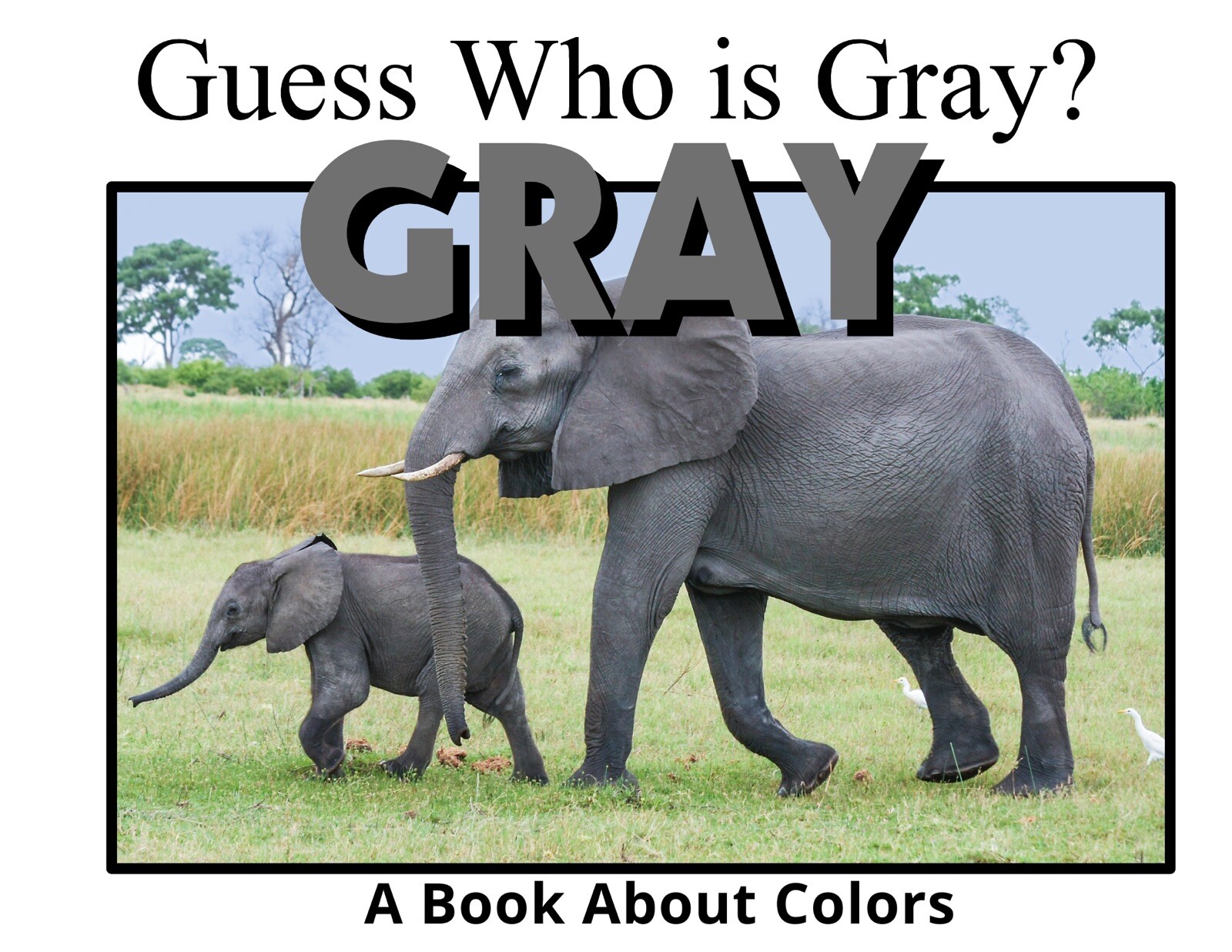 Complete Series – 12 Book Set | LEARNING COLORS | Spiral Bound Picture Book