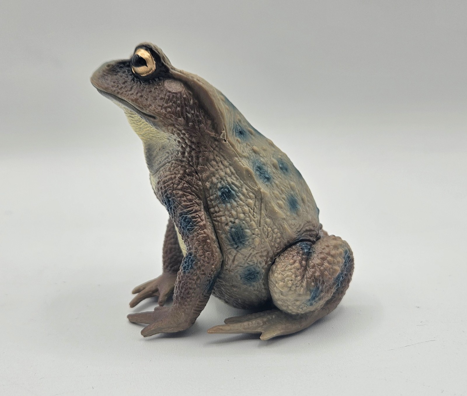 Large Toad Figure Toy Child Plastic Gift Figura Sapo Grande Juguete Plástico 229