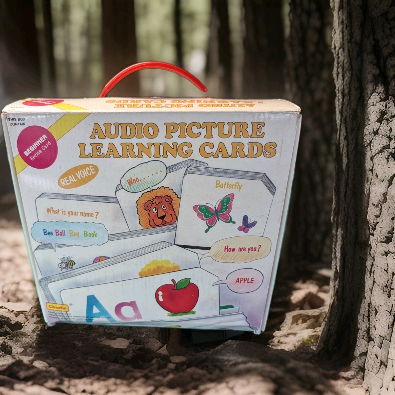 Audio Picture Learning Cards By Charlie 248 Cards For Use W/TK-348 Card Player