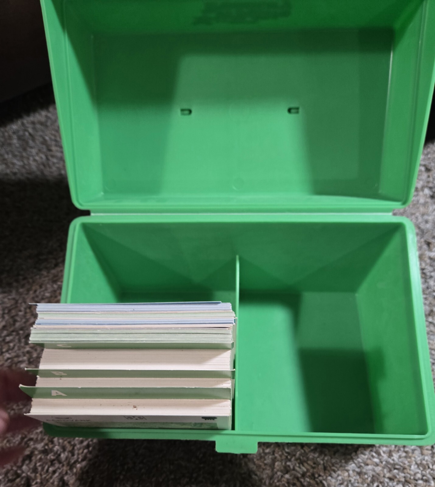 Illustrated Wildlife Treasury Green Plastic Box As Is With Some Cards