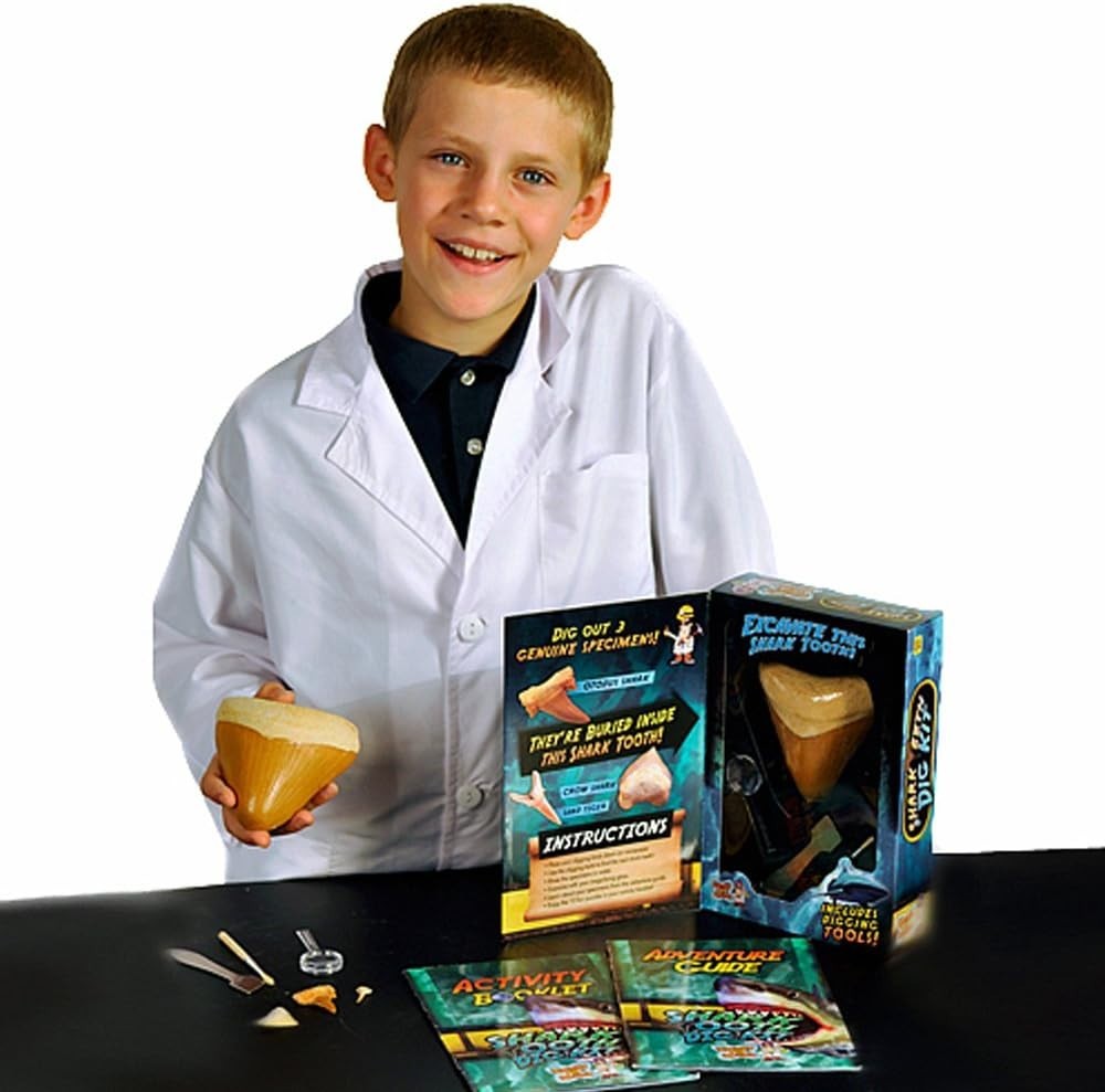 Discover with Dr. Cool Shark Tooth Dig Kit – Dig Up 3 Real Shark Teeth Fossils!
