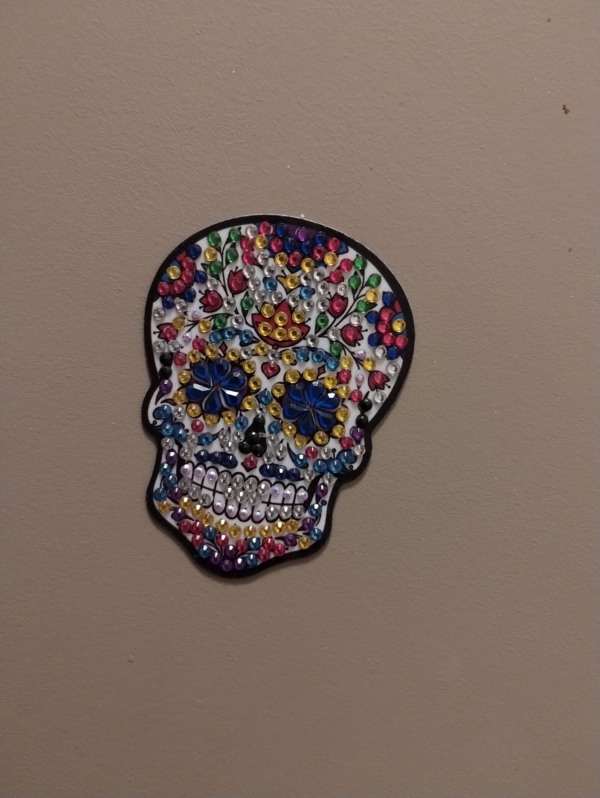 Sensory Magnets sugar skulls autism spd