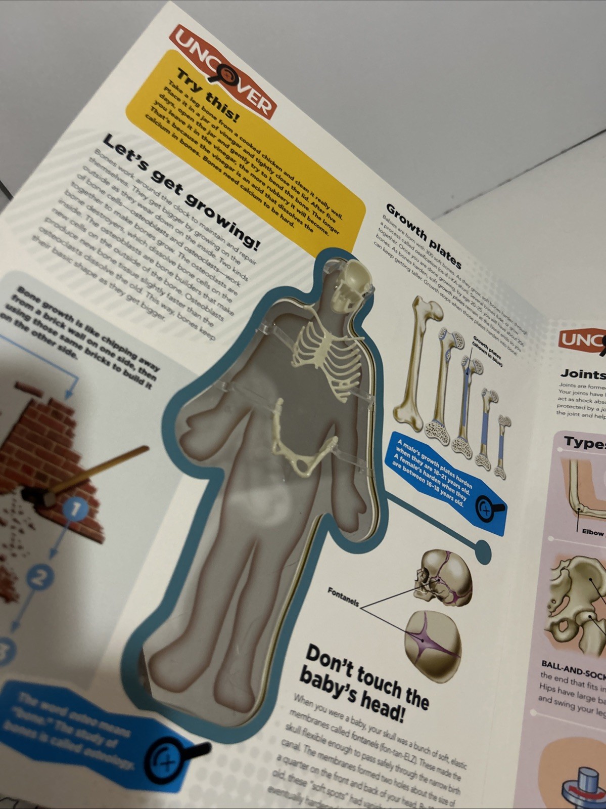 Uncover the Human Body Book Layered Interactive 3-D model Board Book