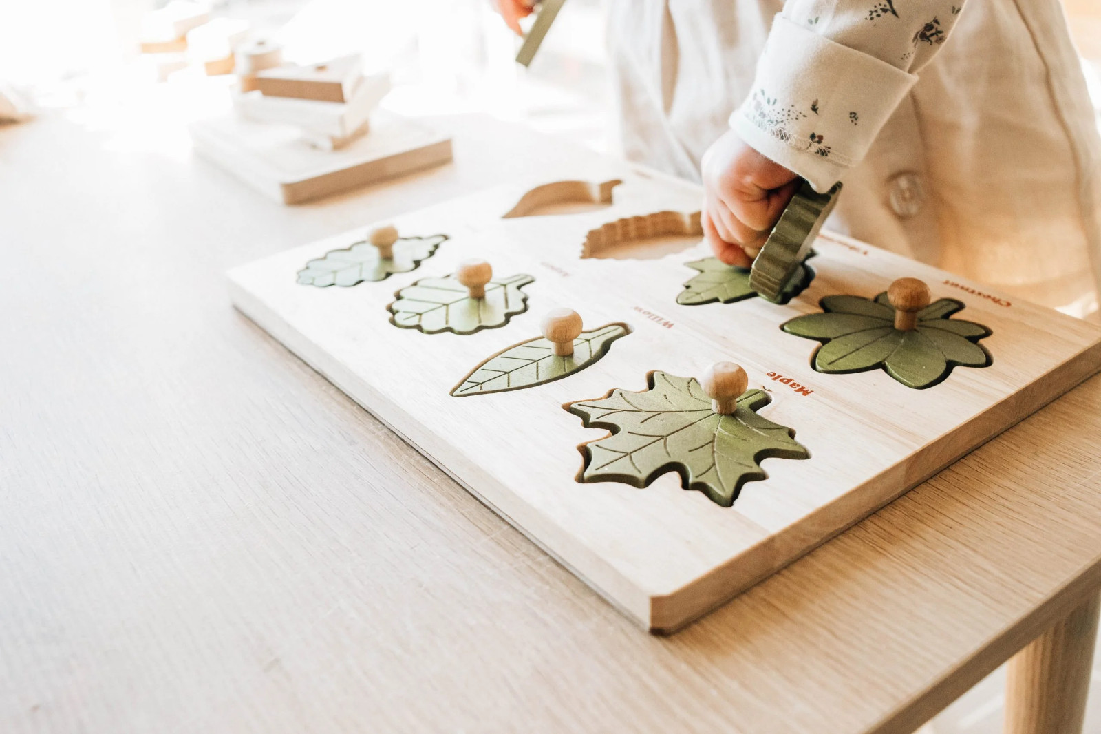 QToys USA Montessori Leaf Puzzle