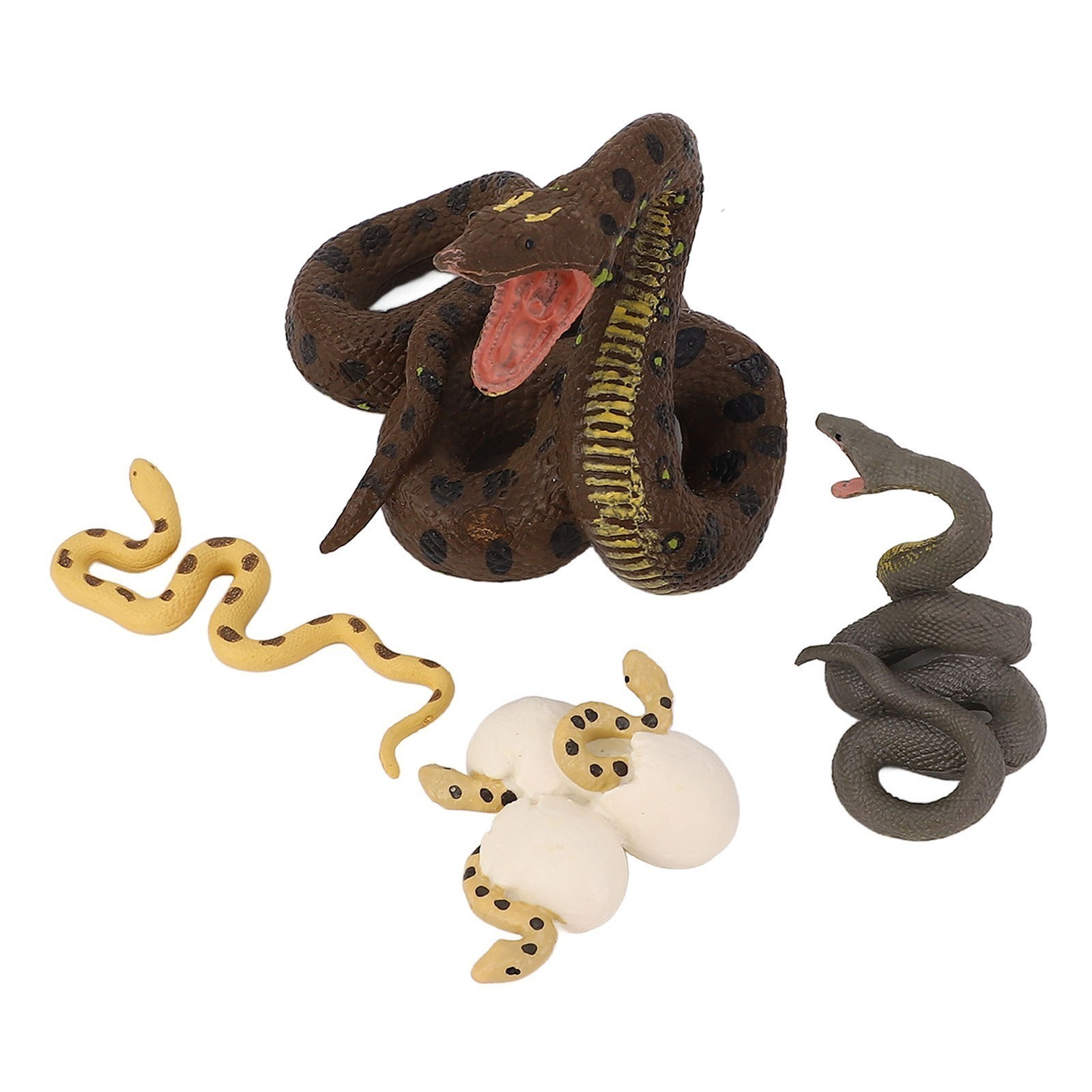 4 Pcs Snake Growth Cycle Model Toys Realistic Educational Play Simulated Snake