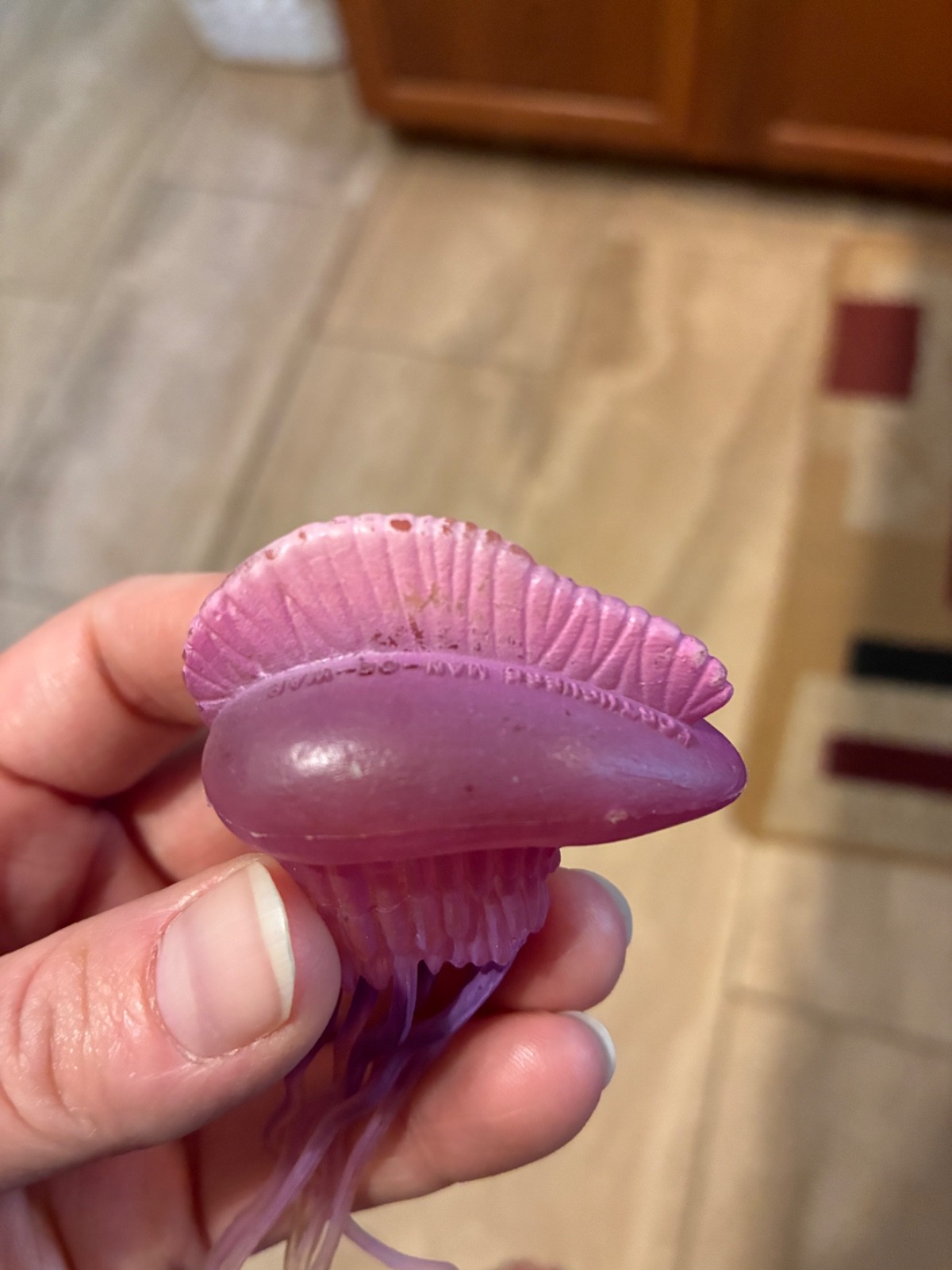 K&M International Jellyfish Lot