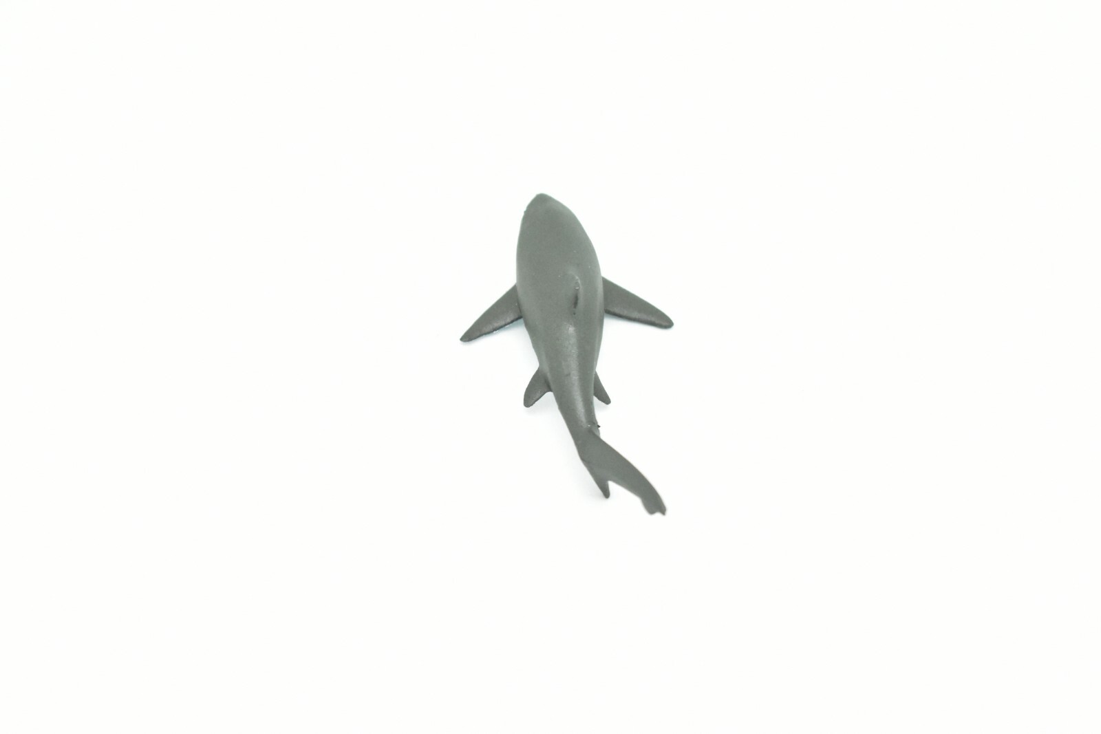 Thresher Shark, Very Nice Plastic Replica 3″ – F1012 B118