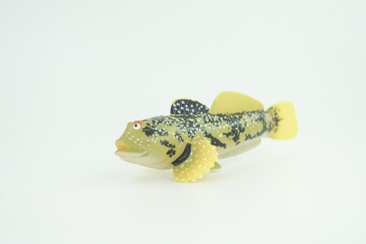 Lingcod Fish Toy, Realistic Hand Painted Rubber Fish Cod, Model 4.5″ CH787 BB185