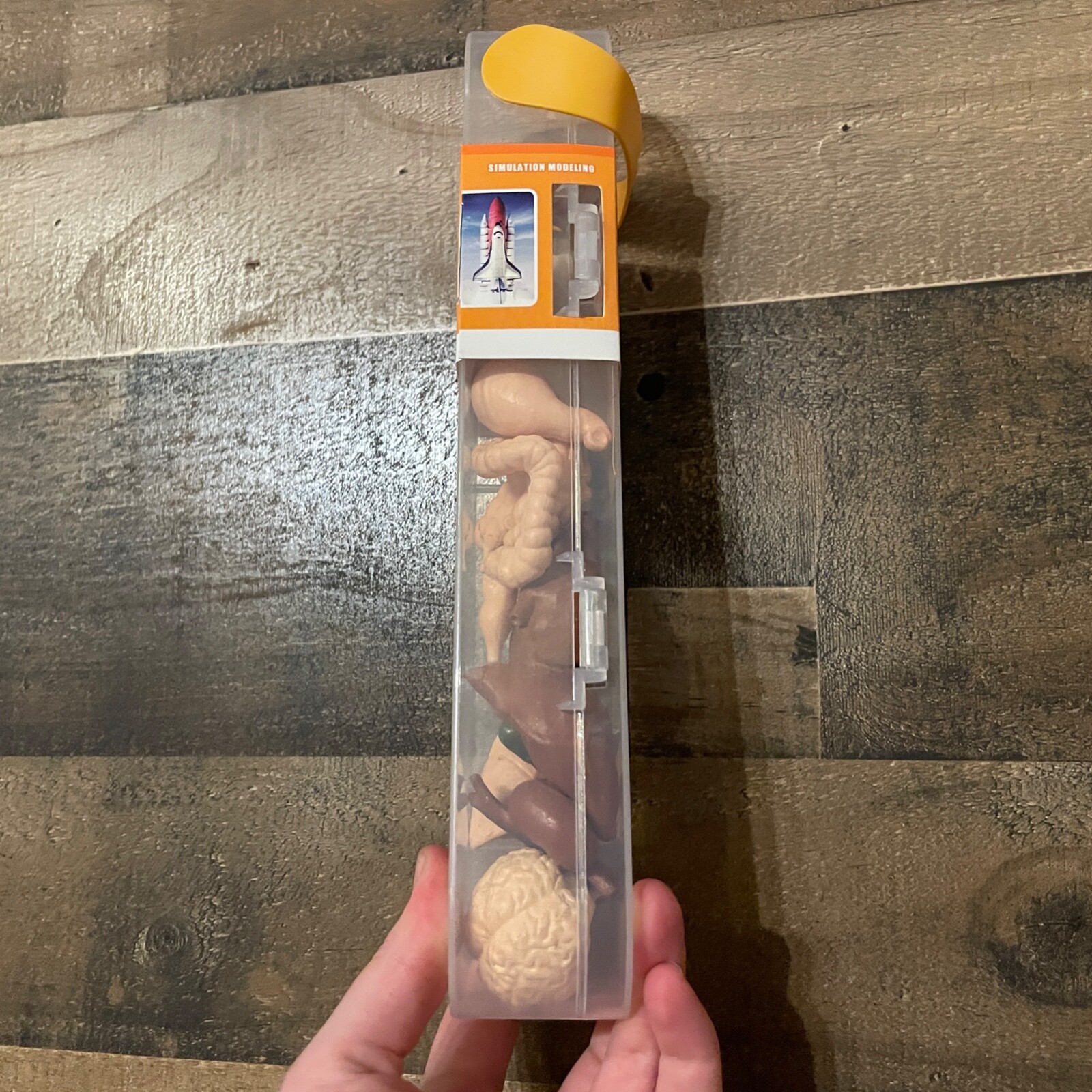 Human Organ Toy Set Aerospace Architecture Play Learn Body Small Parts Gift NEW