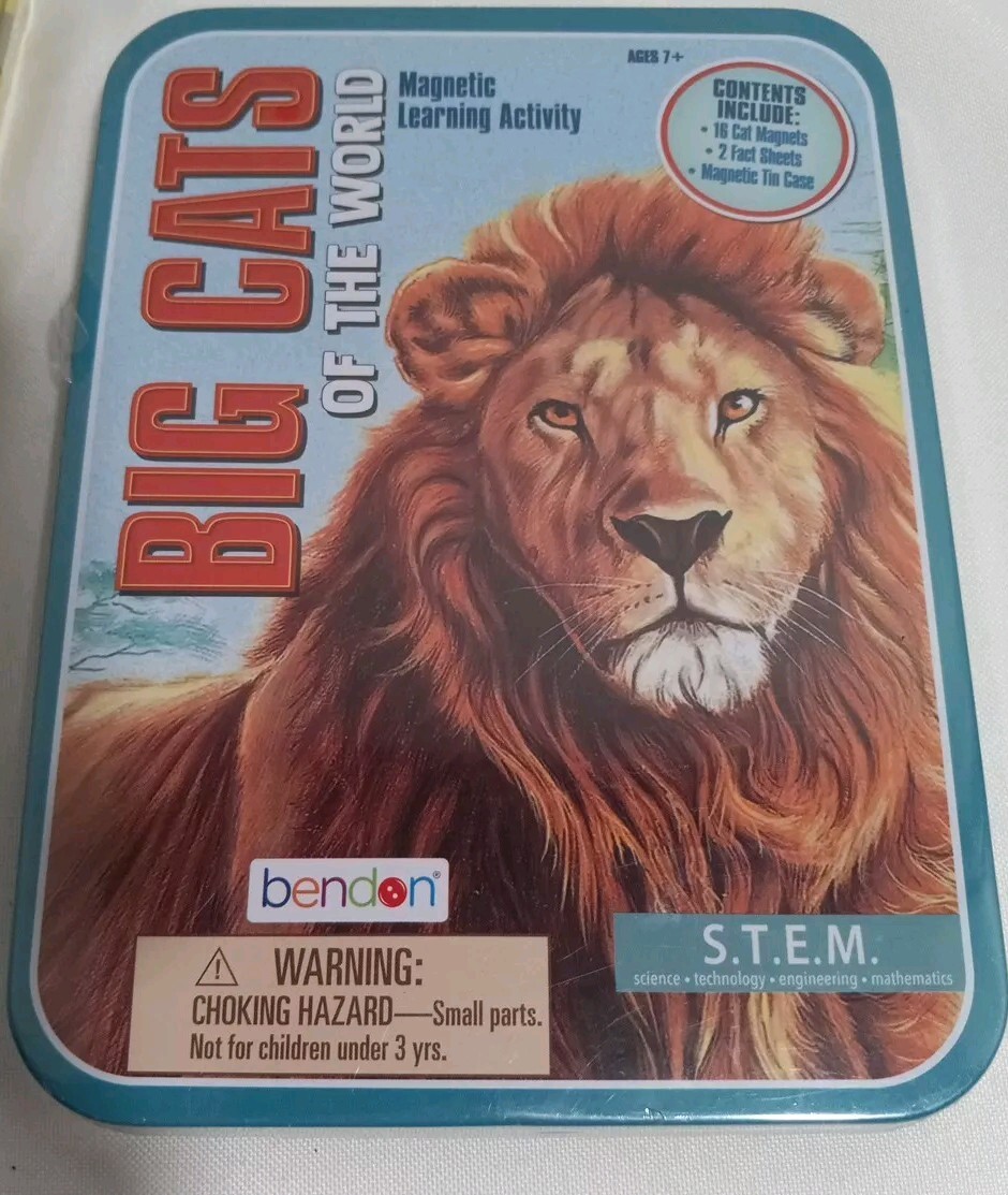 Bendon Word Play & Big Cats Magnetic Learning Activity Lot Of 2 New Unopened