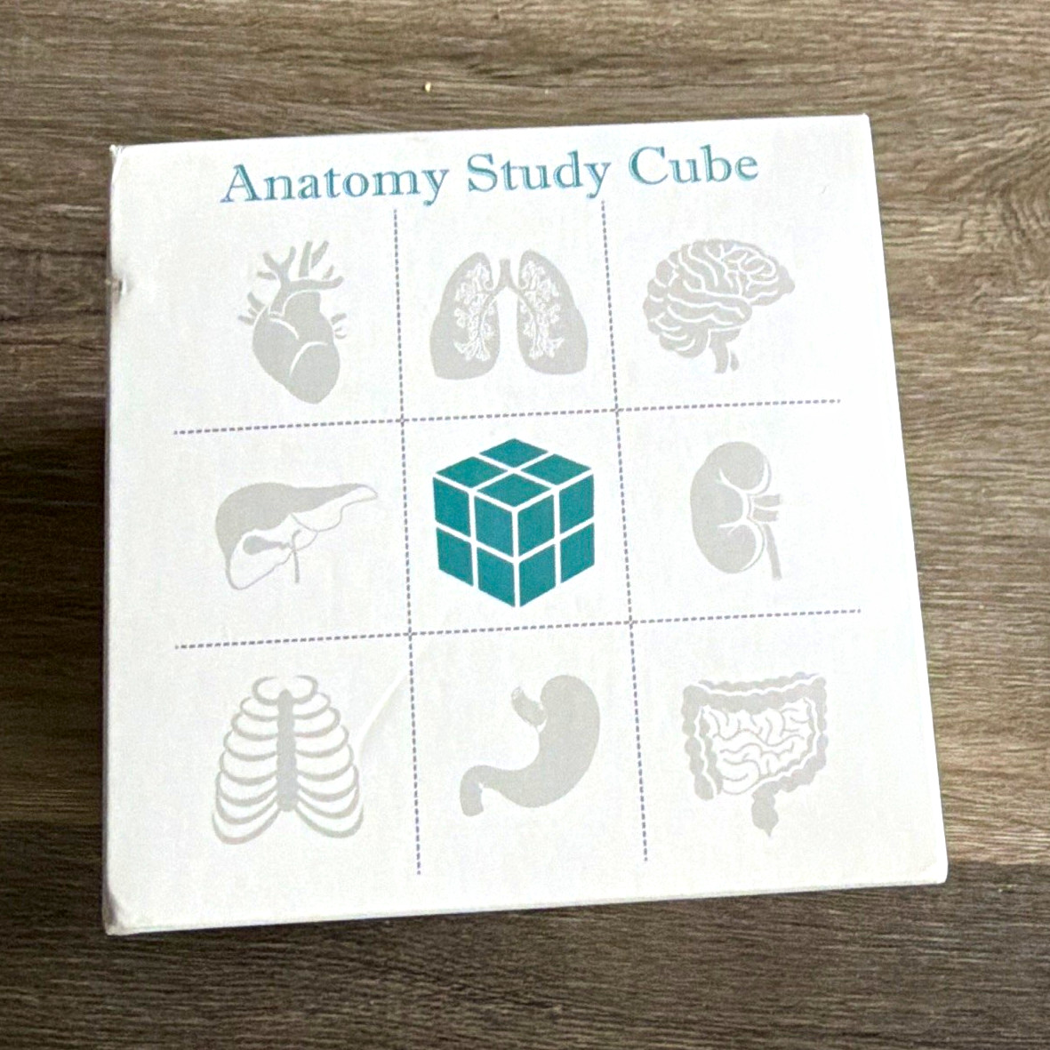Anatomy Study Cube Educational Foldout Charts – Brain, Heart, Circulatory