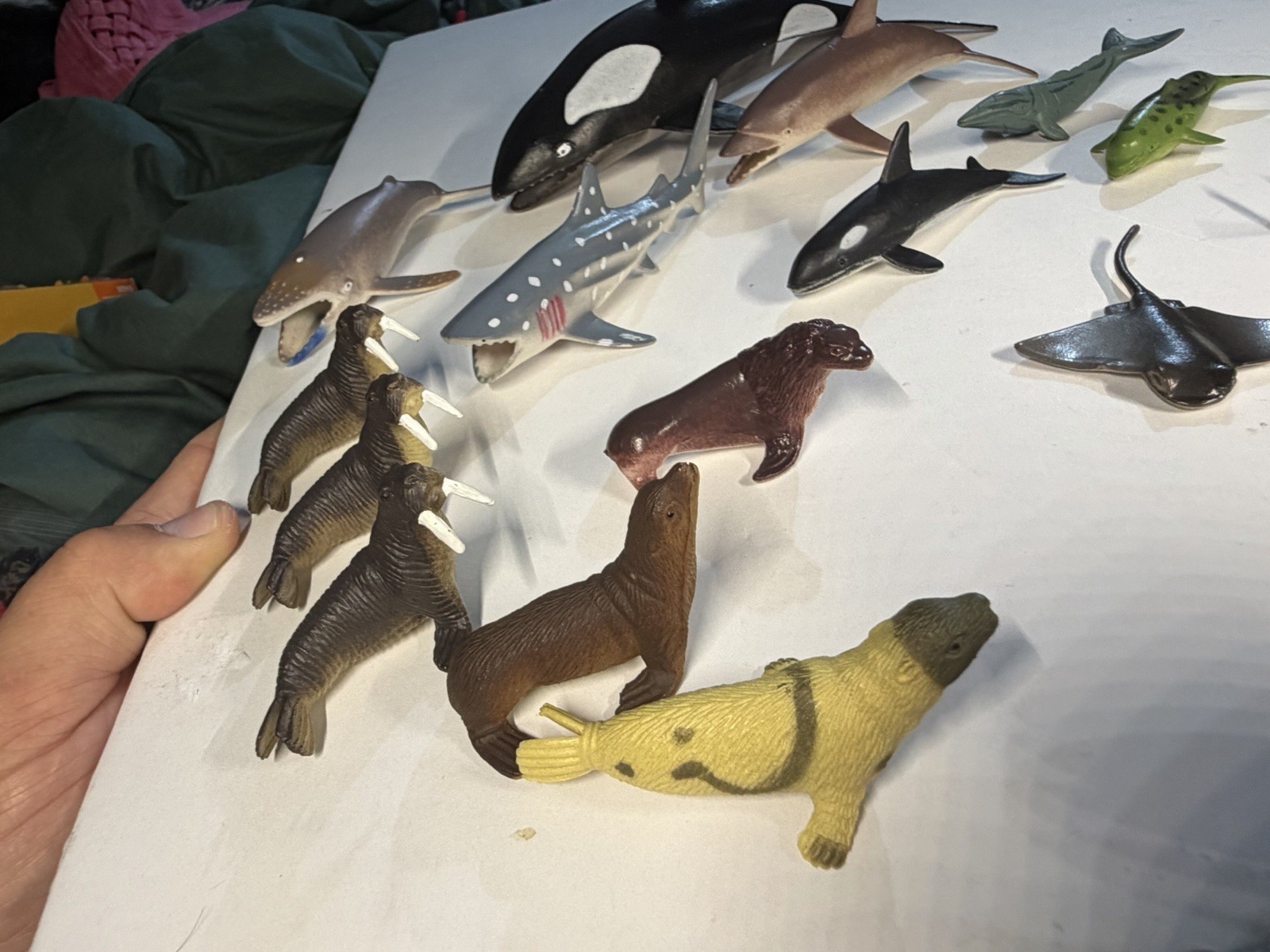 Ocean Animal Figure Lot Orca Dolphin Whale Shark Stingray Sea Lion Educational