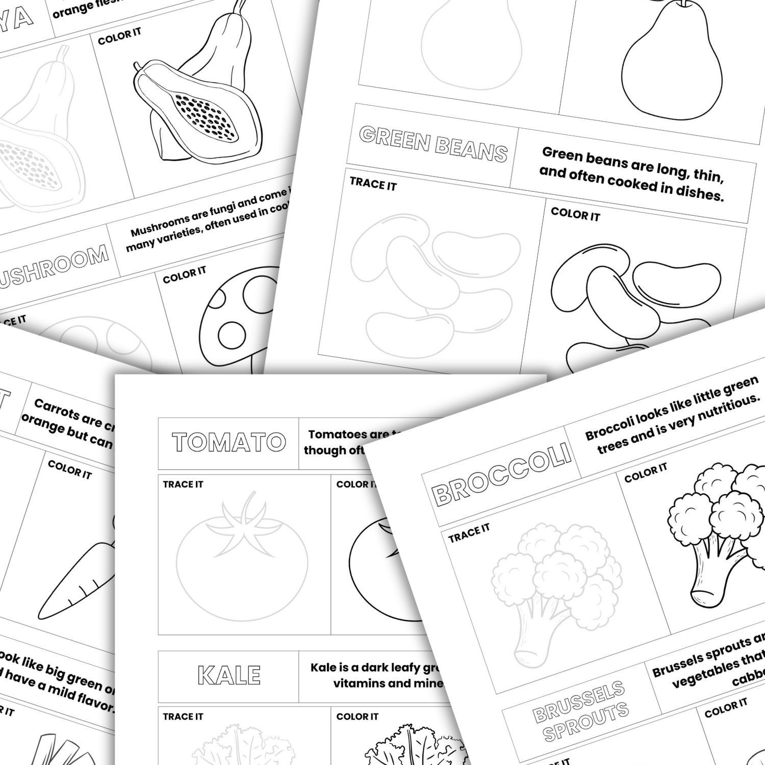 Kids Fruits & Vegetables Activity Worksheets | Printable