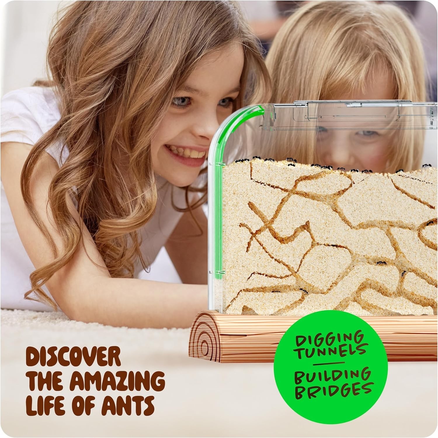 Ant Farm Kit for Kids – Farms Colony – Includes Ants Voucher – Sand Habitat K…