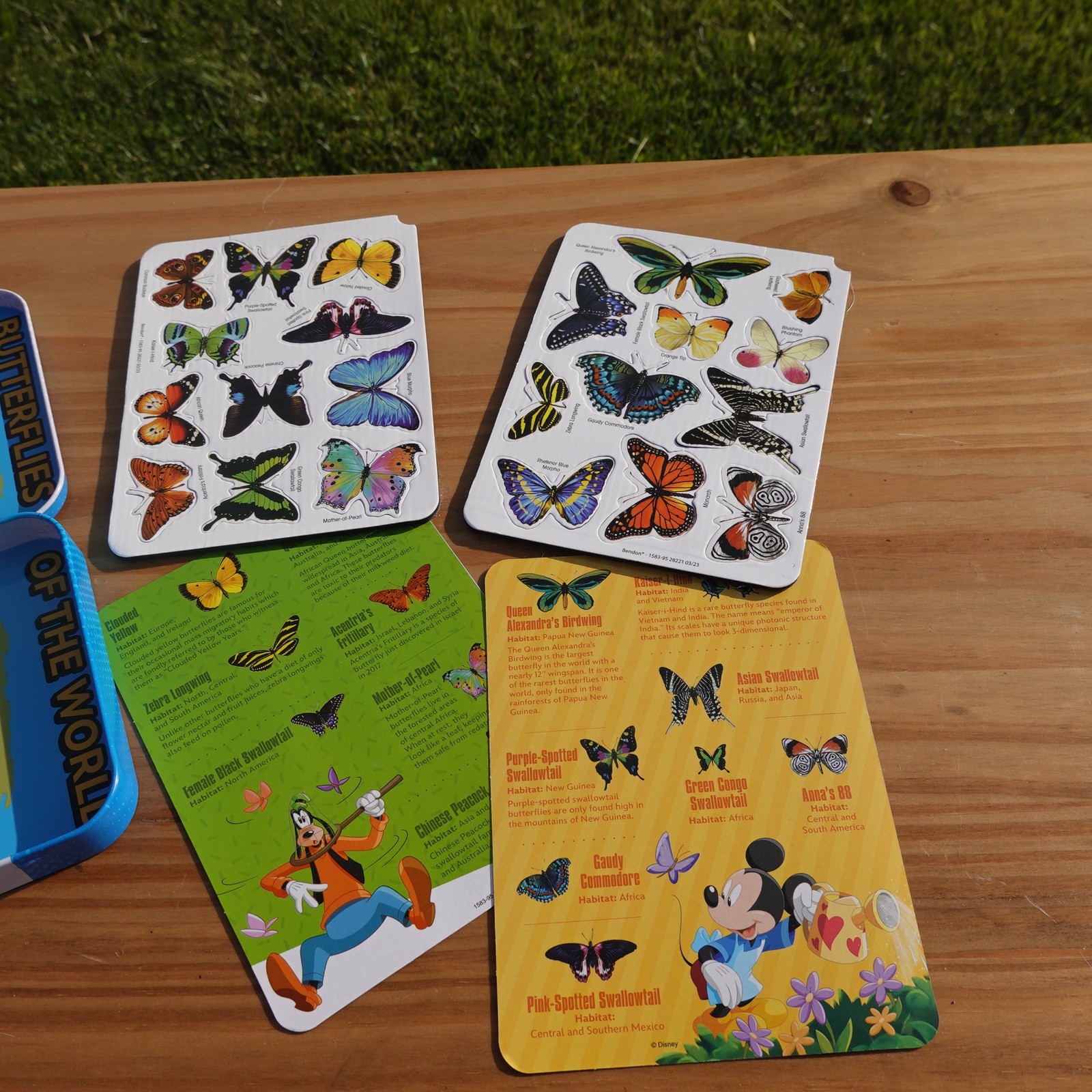 Bendon Disney Butterflies Of The World Magnetic Learning Activity STEM