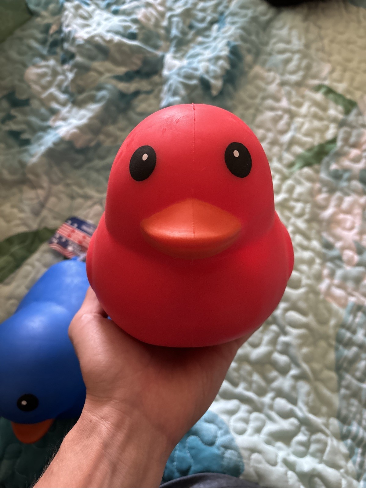 Sunny Days Rare Red Duck Squishy Toy
