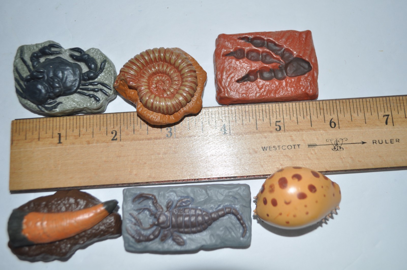 Safari Ltd Ancient Fossils Toob Miniature Collectibles 2009