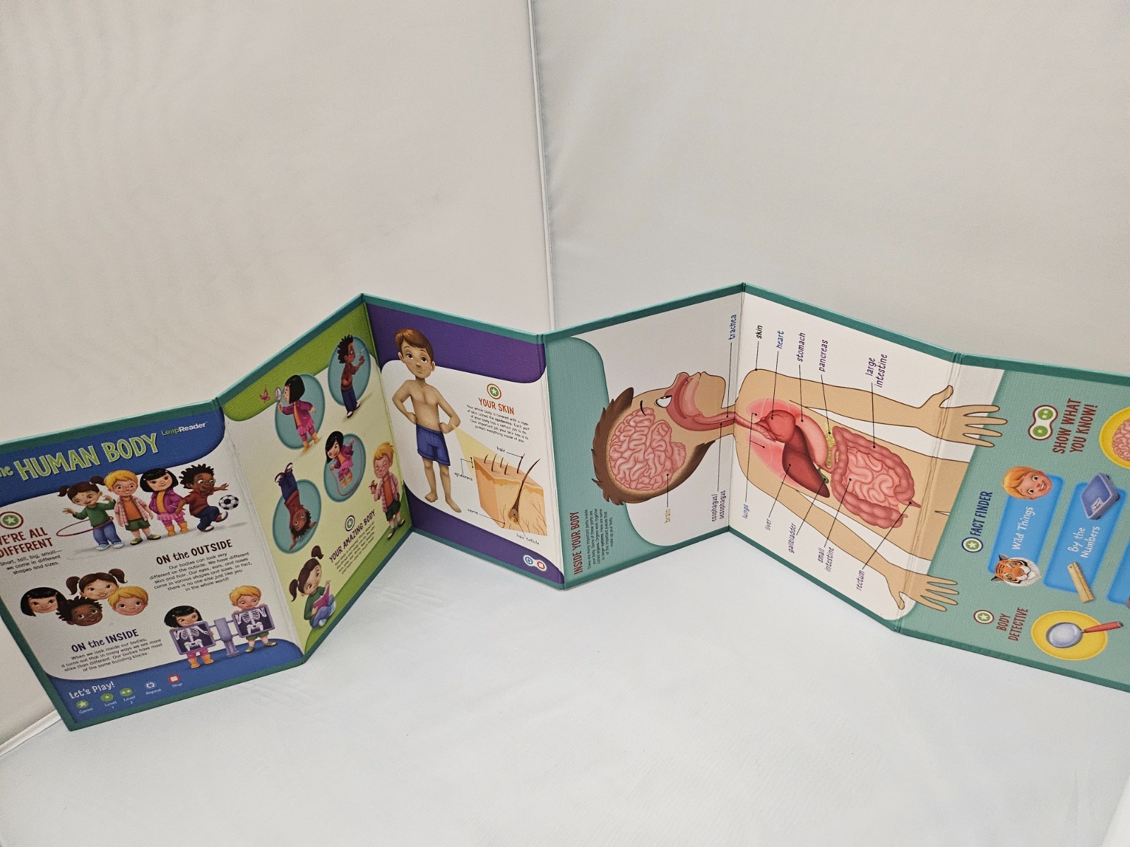 LeapFrog LeapReader System Book Bundle