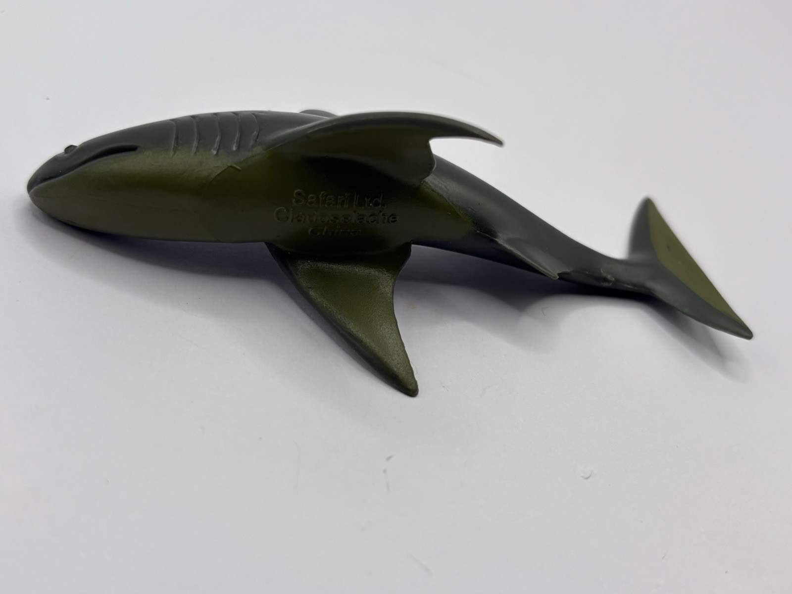 Safari Ltd Extinct Shark Cladoselache PVC Plastic Toy Figure Prehistoric Toob