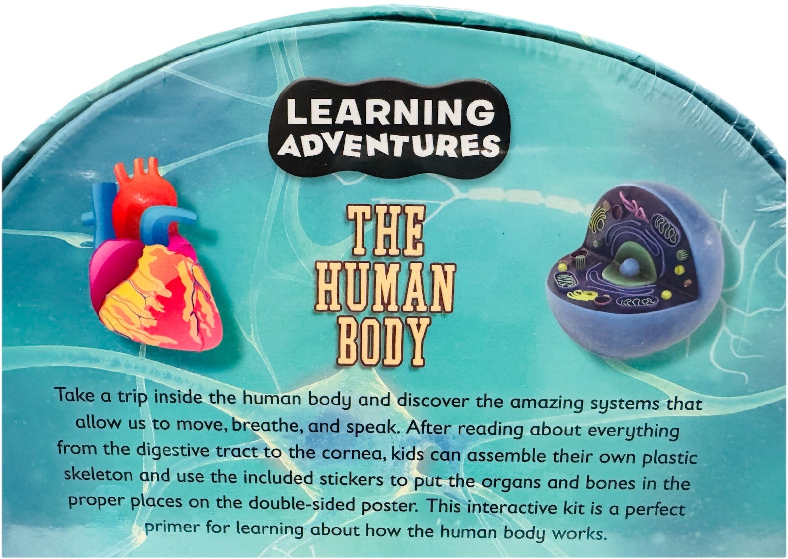 Adventures in Science: The Human Body Interactive Learning Kit 3D