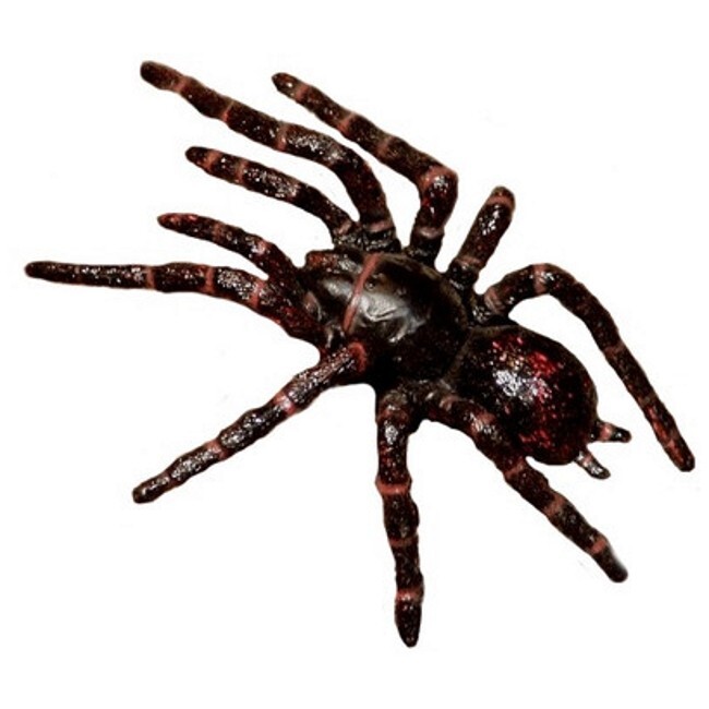 Four Toy Australian animals : Scorpion, Red-backed, Funnel-Web, Huntsman Spider