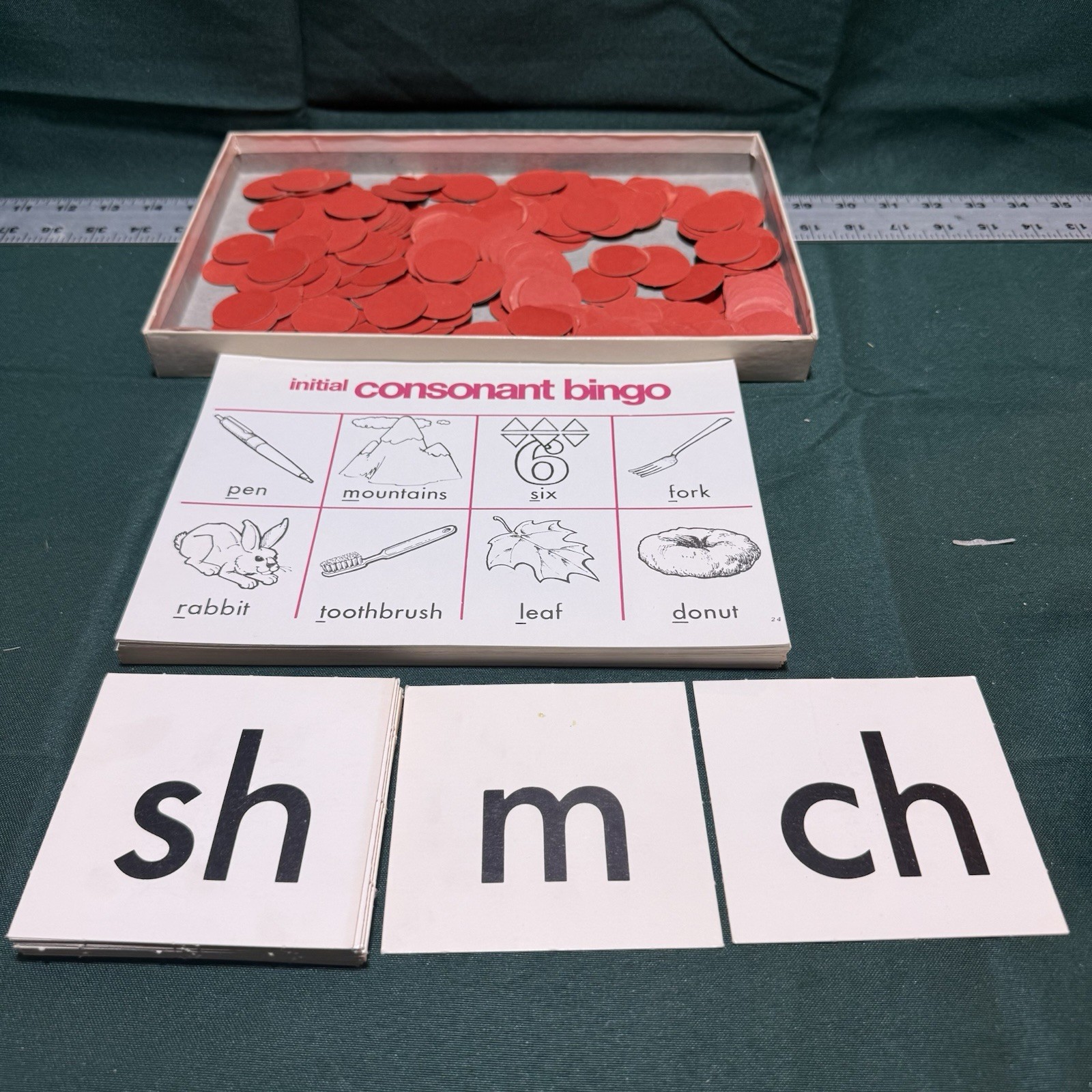 Initial Consonant Bingo by Trend Enterprises-ships free!