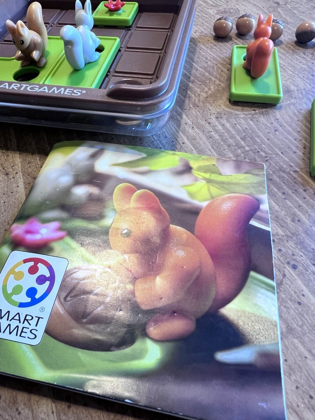 Smart Games Squirrels Go Nuts Critical Thinking Puzzle Game For Kids