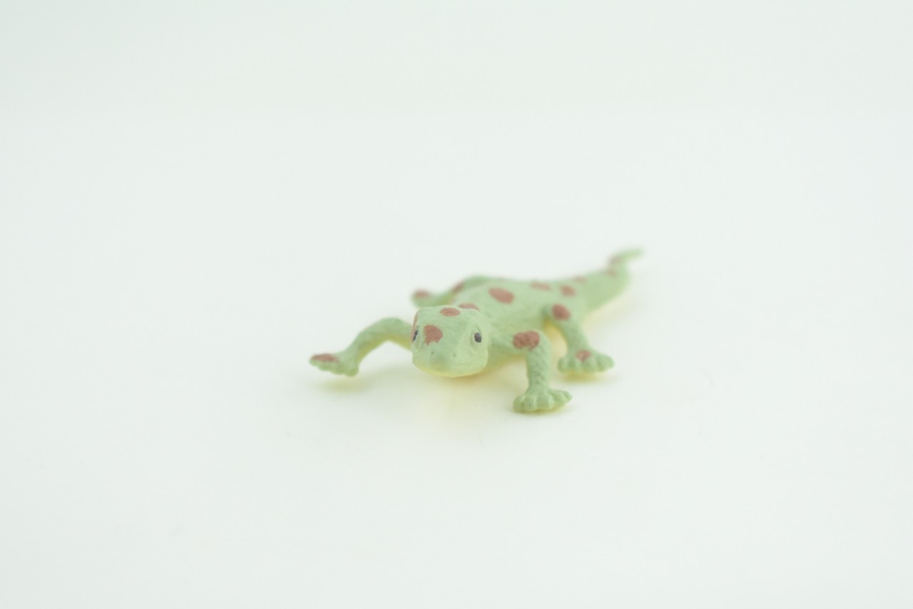 Spotted Gecko, Toy Lizard, Realistic Hand Painted Rubber, 2.5″ WR46 B197