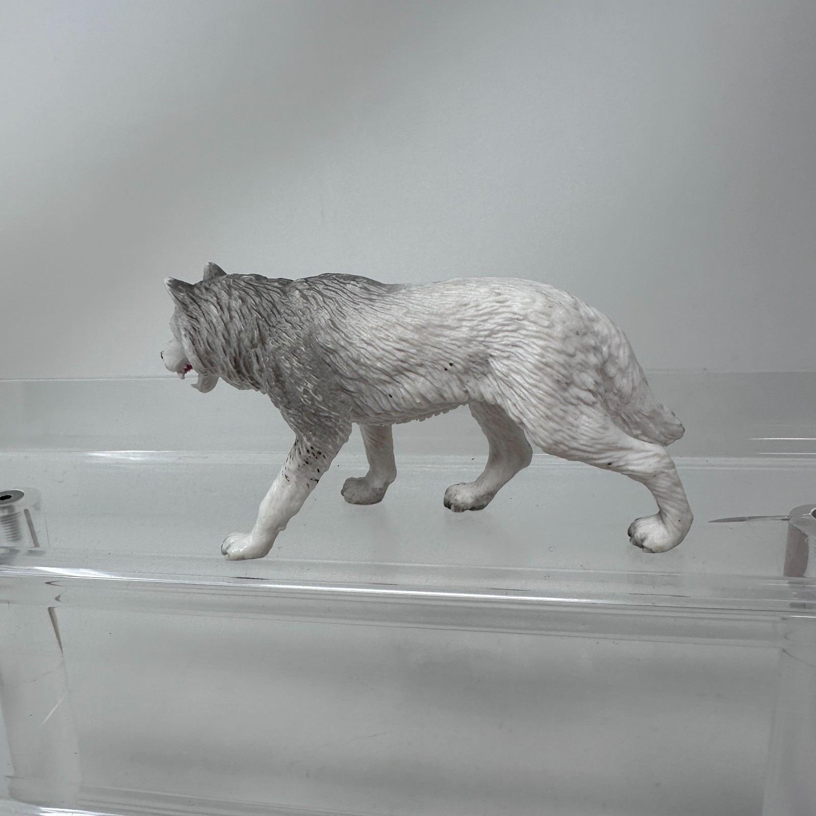 Mojo Arctic Wolf Figure White Wildlife Zoo Safari Snow Dog Animal Figurine 2022
