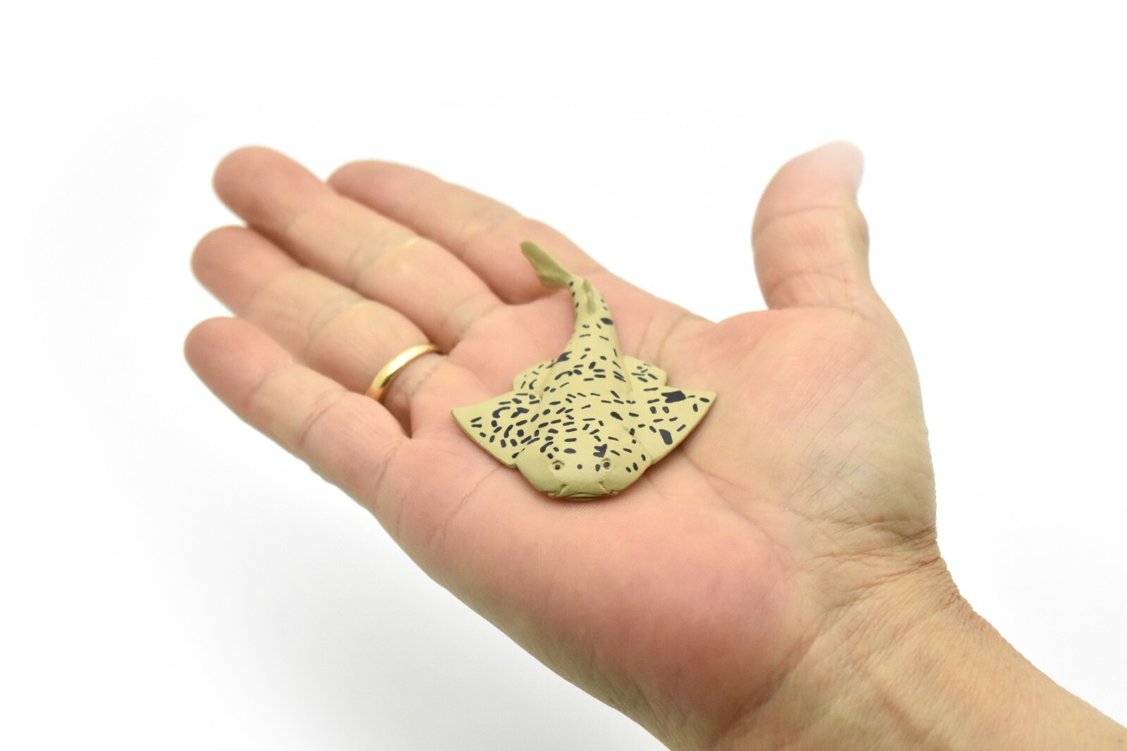 Angel Shark, Very Nice Plastic Replica 3″ F1008 B118
