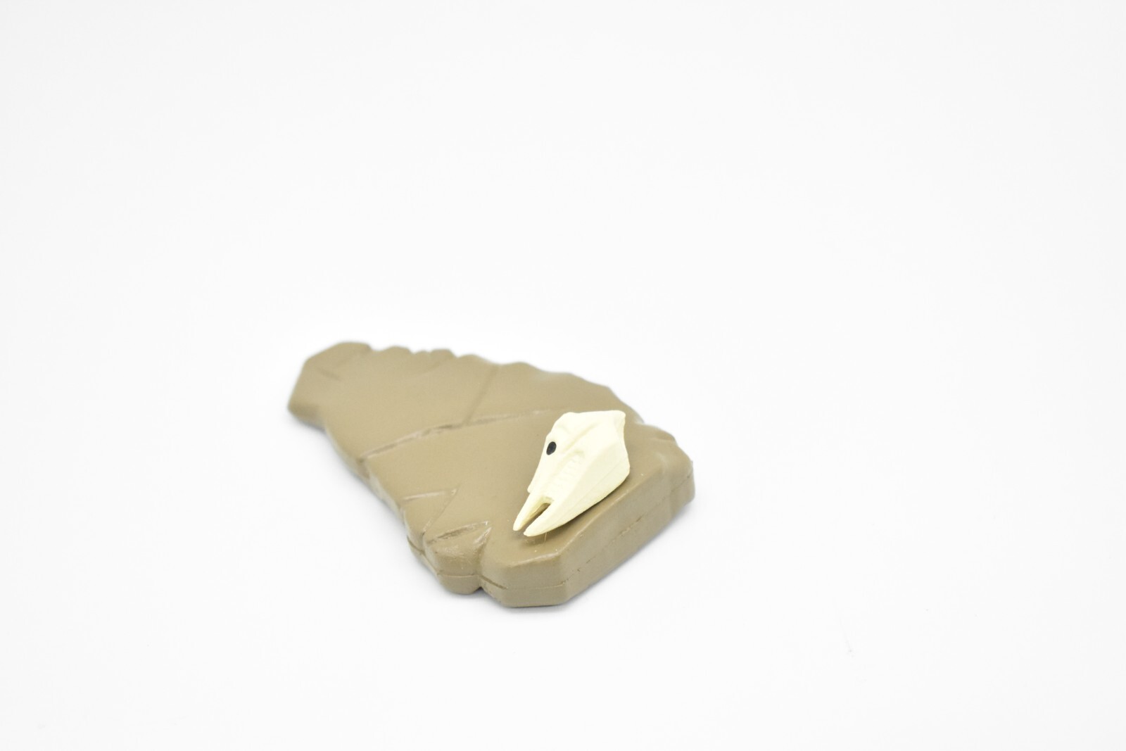 Skull on Slab of Mud, Fossil, Realistic Plastic Toy Model 2 1/2″ F4460 B222