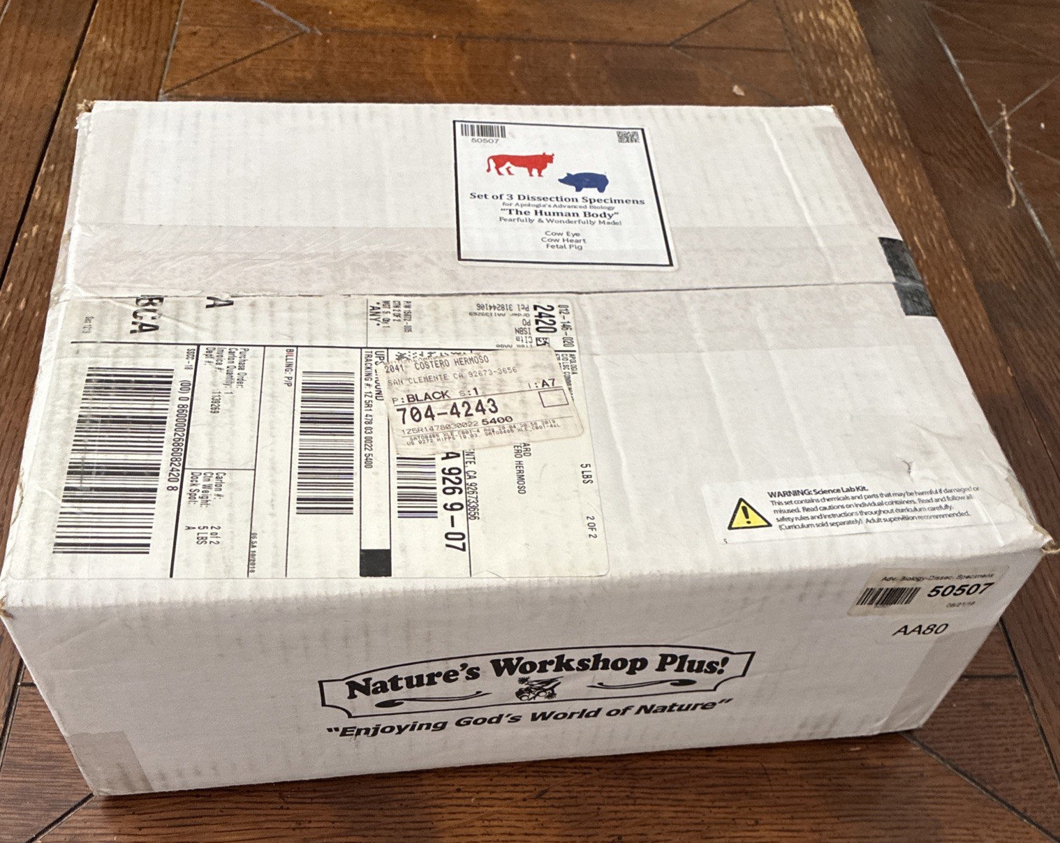 Nature’s Workshop Plus set of 3 dissection specimens for Apologia Human Body