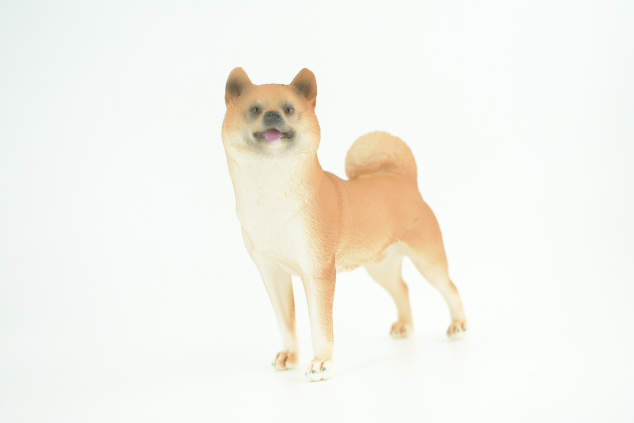 Shiba Inu Dog, Toy, Realistic Hand Painted Rubber Model, 4 Inches CH789 BB186