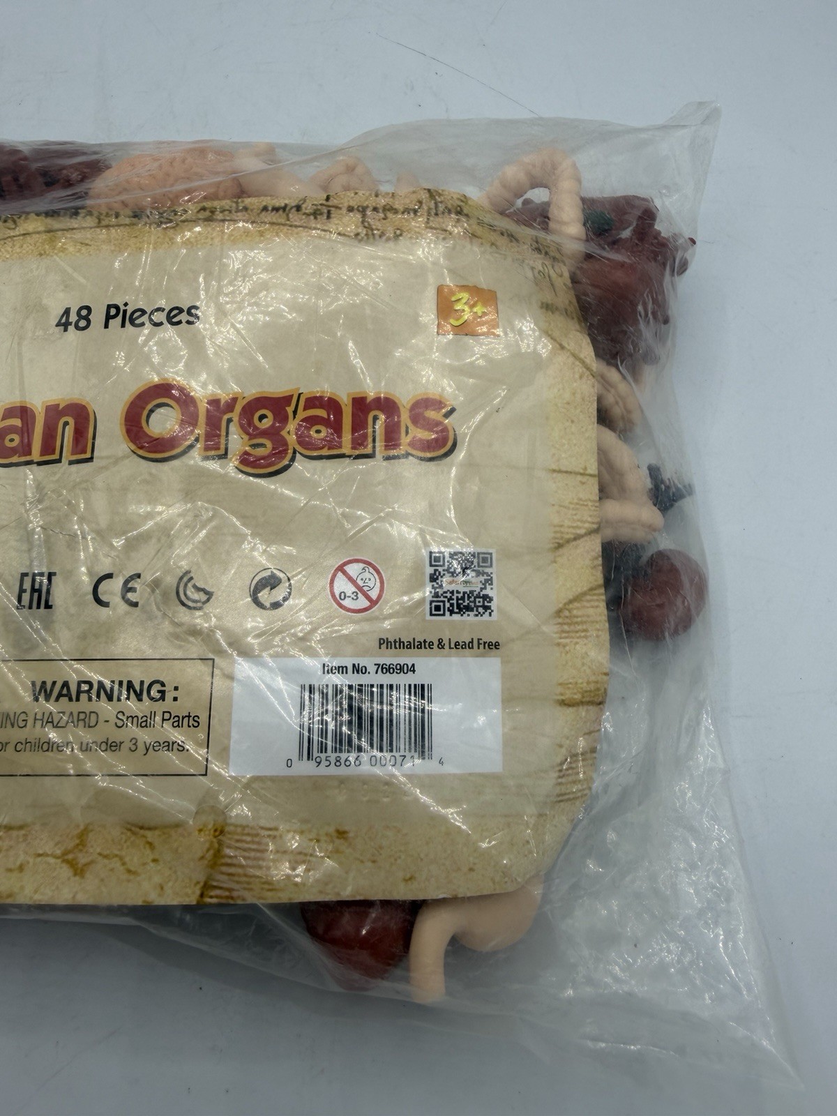 Safari Ltd Human Organs 48 Pieces Bulk Bag
