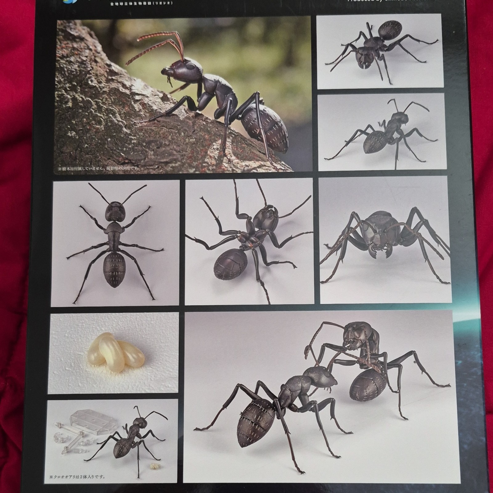 Kaiyodo RevoGeo Ant Figure Model Display Set RG001 2021 Age 8-11 Years