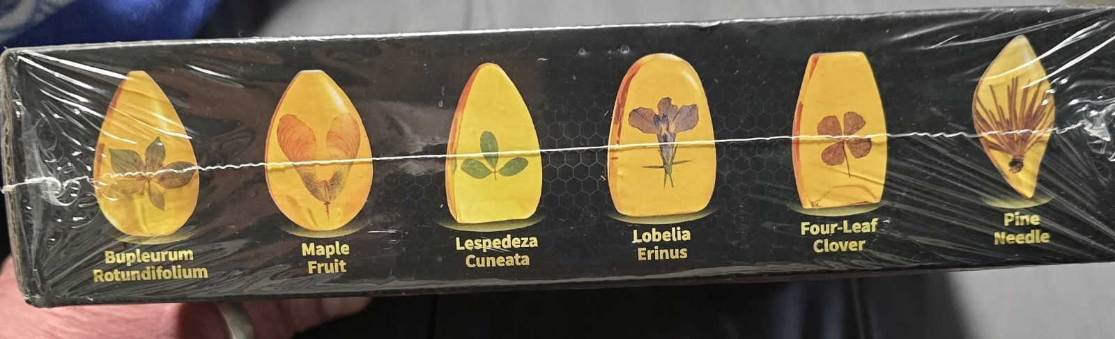 GobiDex Plant Amber Dig Kit, Dig Up 6 Real Plants. New In Box. Age 6+