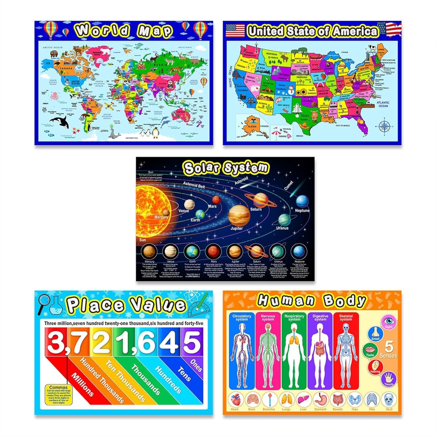 Large 16 x 11 Inch Preschool Educational Posters – Perfect for Homeschool Decor
