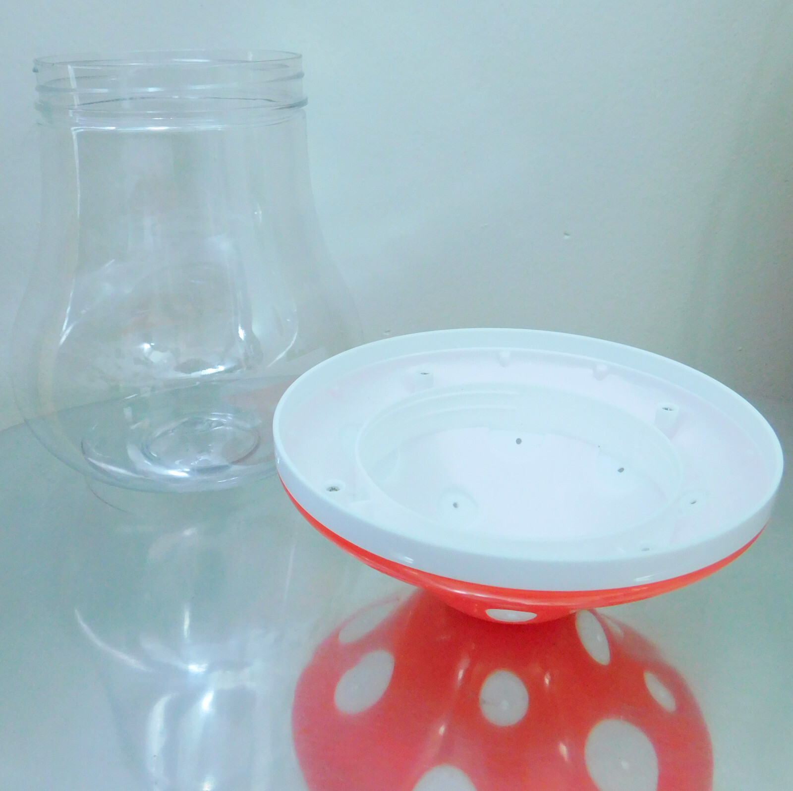 Clear Toadstool Mushroom Spider & Insect Enclosure Habitat Bug House w Screw Lid