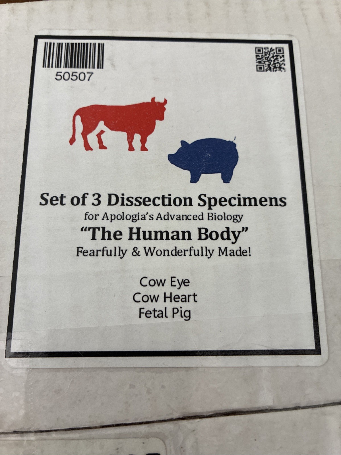 Nature’s Workshop Plus set of 3 dissection specimens for Apologia Human Body