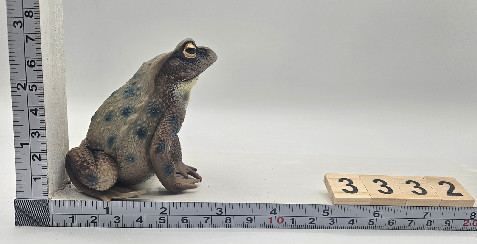 Large Toad Figure Toy Child Plastic Gift Figura Sapo Grande Juguete Plástico 229