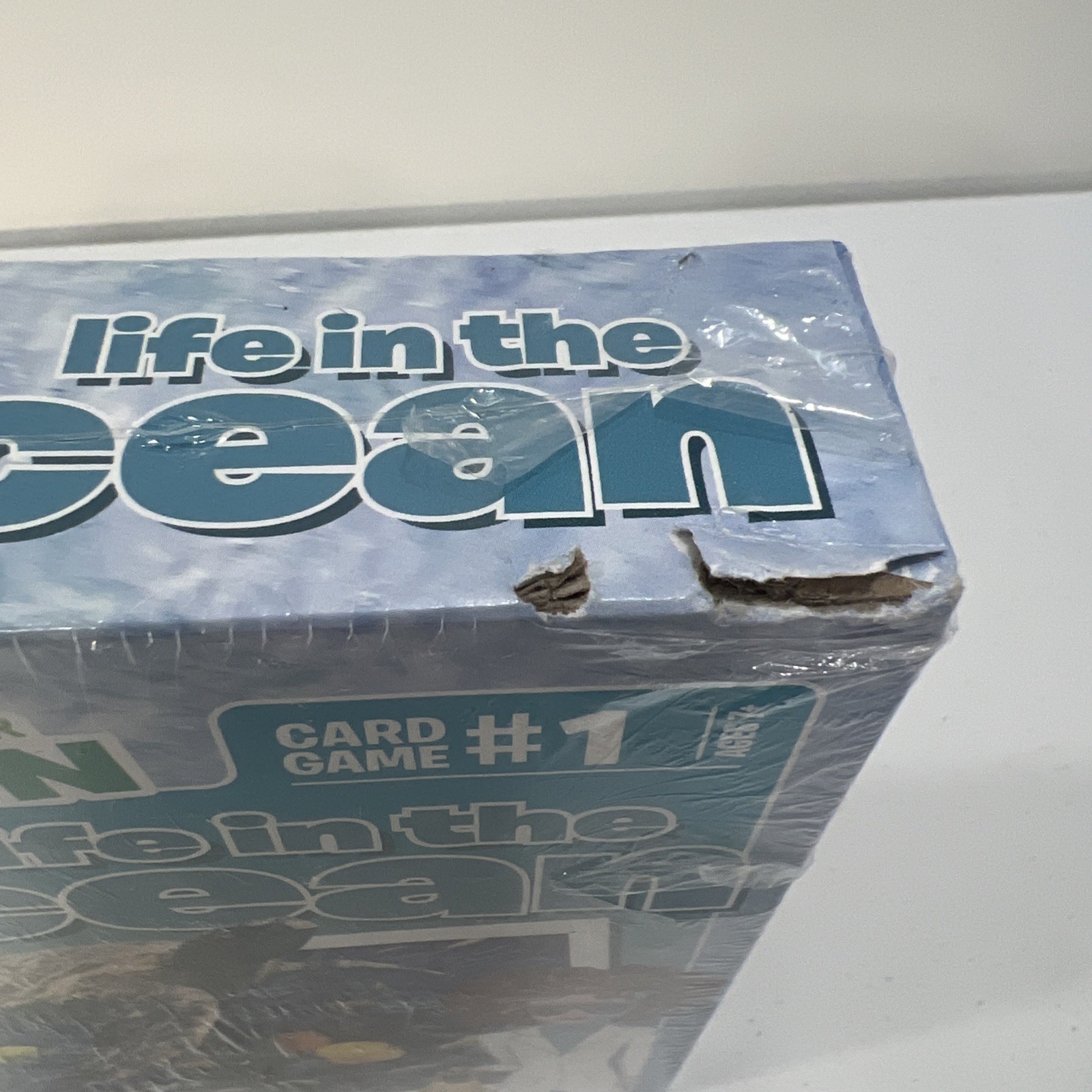 Professor Noggin Life In The Ocean Card Game #1 Educational Sealed
